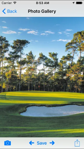تصاویر Poppy Hills
