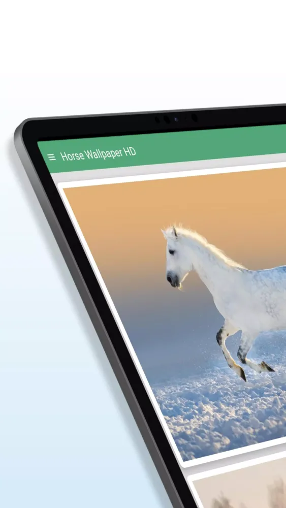 Horse Wallpaper HD سکرین شاٹس
