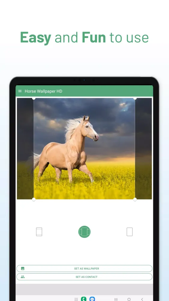 Horse Wallpaper HD سکرین شاٹس