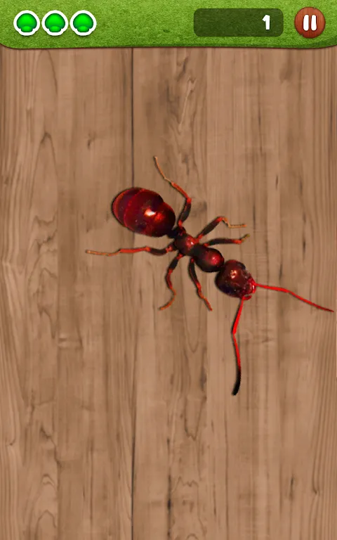 ภาพหน้าจอของ Ant Smasher