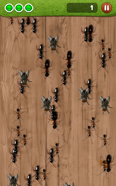 ภาพหน้าจอของ Ant Smasher