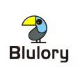 Blulory Watch
