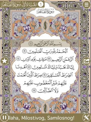 Holy Quran with Bosnian Audio Translation (Offline) iPad  Screenshots