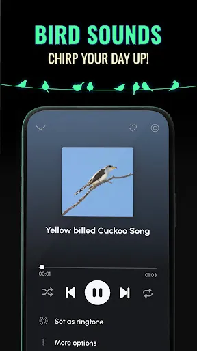 Capturas de pantalla de Ringtones for Android™