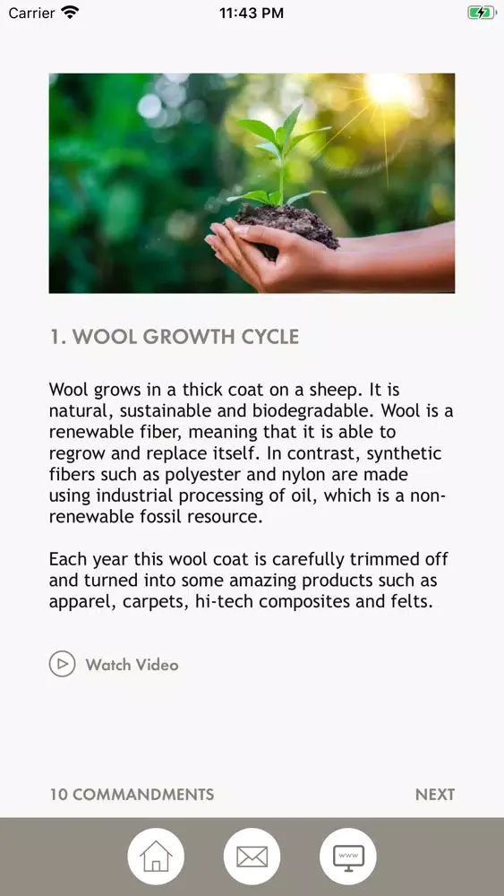 Best Wool Carpets应用截图