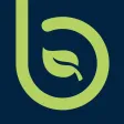 Bambu – Easy carbon credits