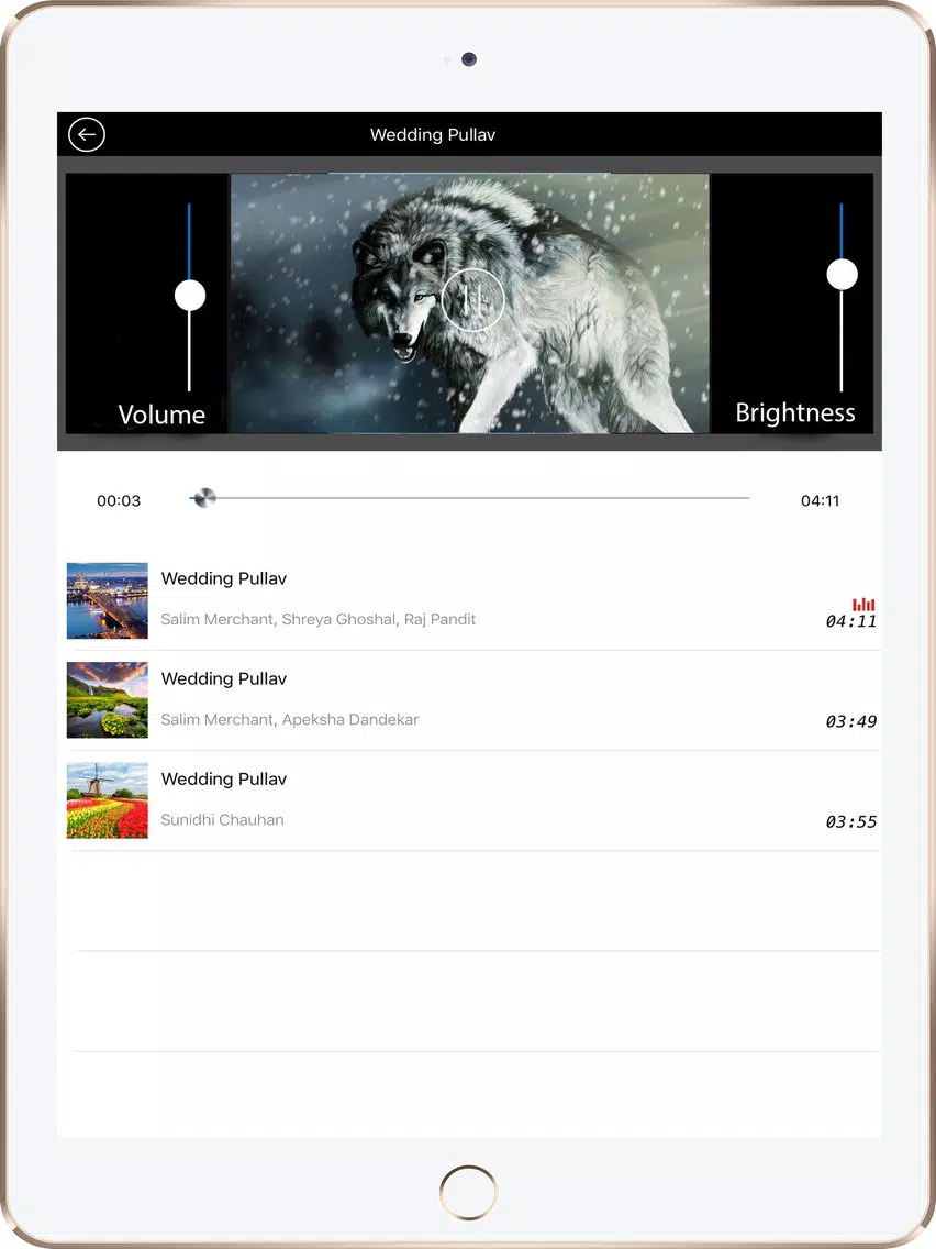 تصاویر NX Player iPad 