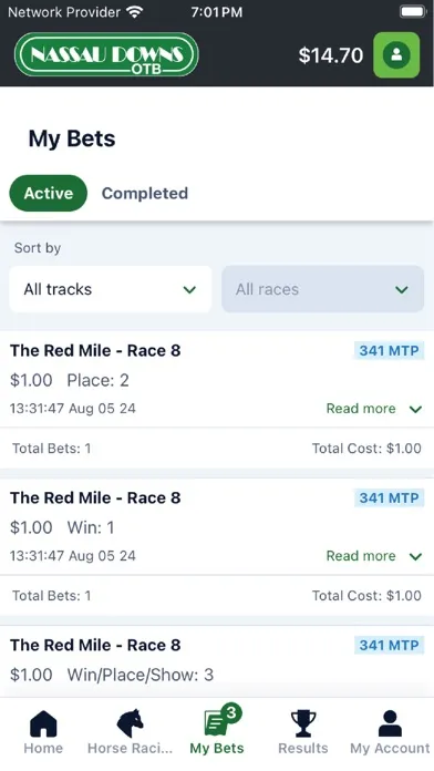 Screenshot di Bet the Ponys