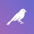 Momentum: simple donations