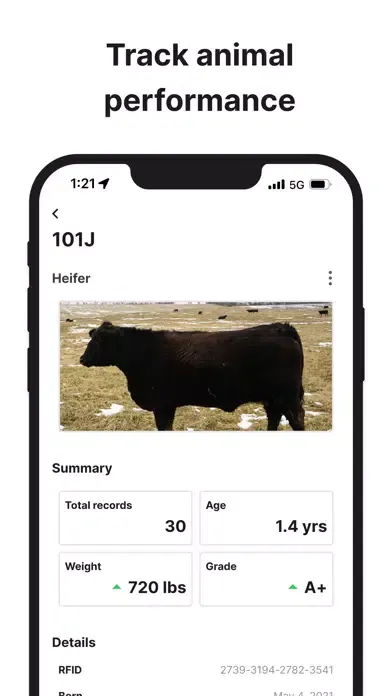 Grassland Screenshots