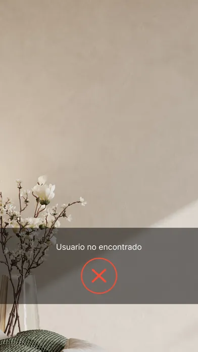 Bewe Face Check-In应用截图