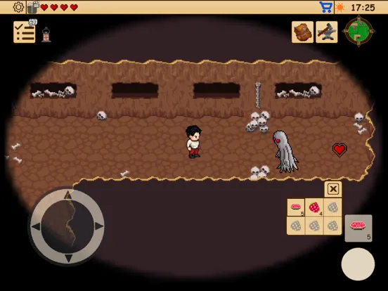 Captures d'écran de Survival RPG 2:Temple Ruins 2D iPad 