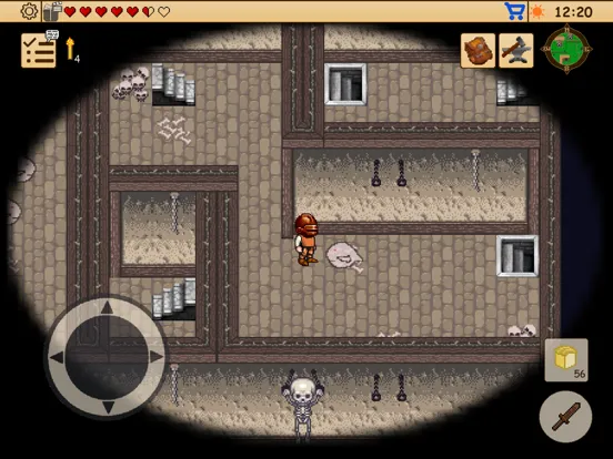 Captures d'écran de Survival RPG 2:Temple Ruins 2D iPad 