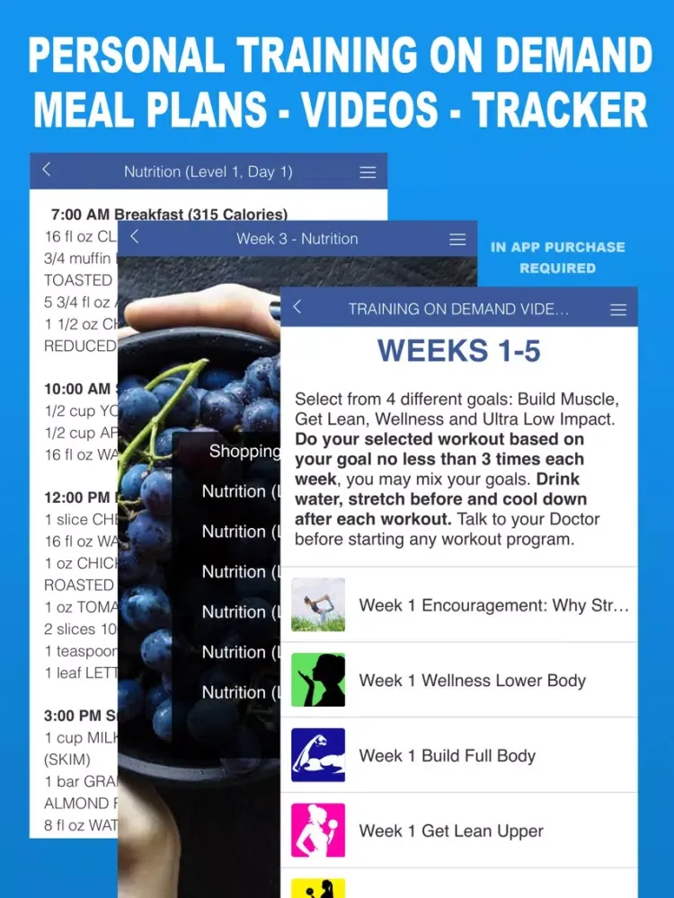 WhenEver Fitness On Demand iPad  스크린샷
