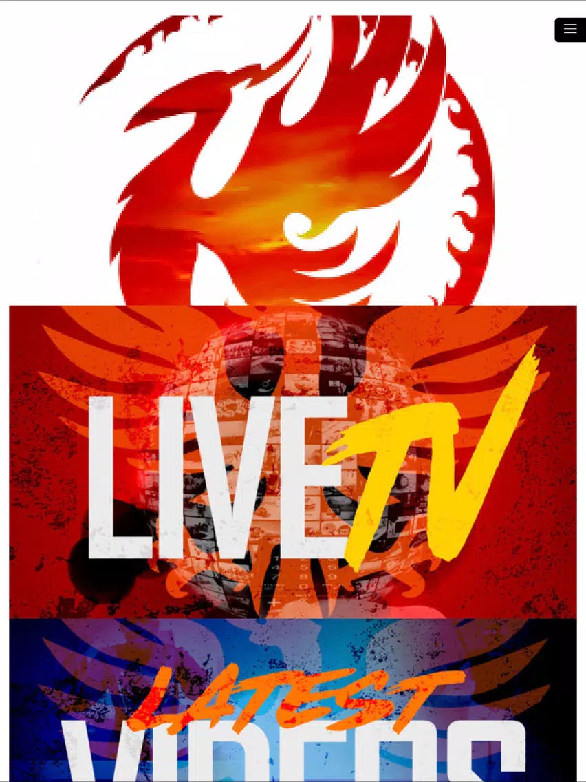 Ảnh chụp màn hình của Phoenix TV iPad 