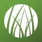 Digital Grass