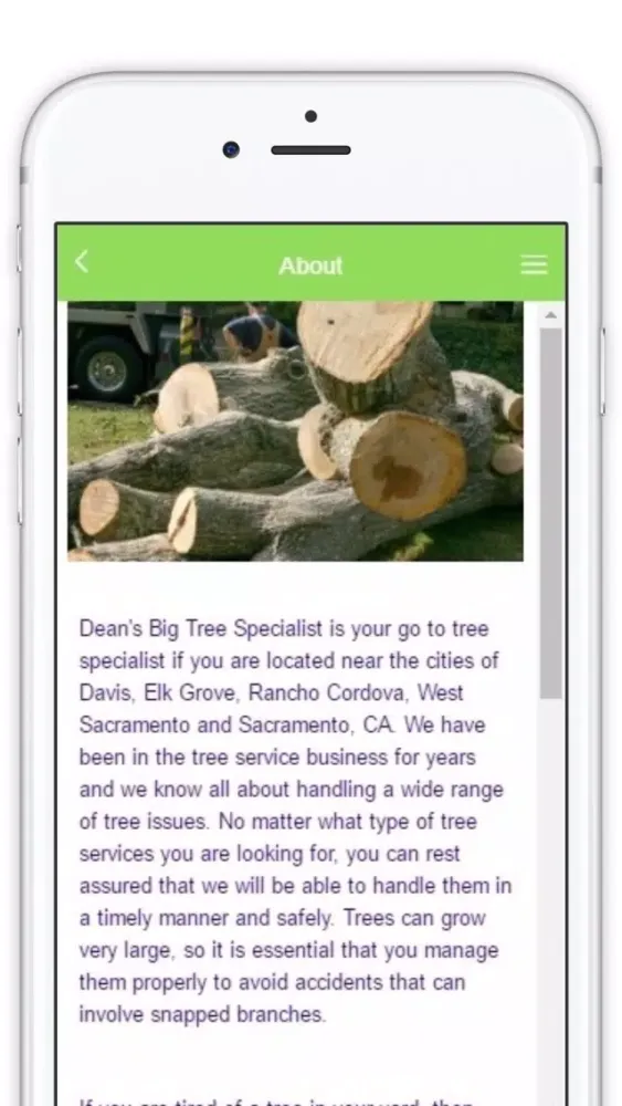 Скриншоты Dean's Big Tree Specialist