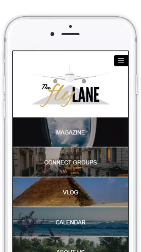 Screenshot di The Fly Lane
