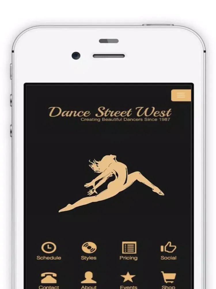Tangkapan layar Dance Street West iPad