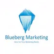Blue Berg Marketing