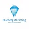 Blue Berg Marketing