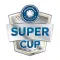 Volleyball Supercup