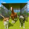 Animal Shelter: My Pet World