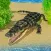 Crocodile Hungry Animal Games