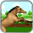 Horse Hurdle