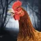 Scary Chicken Escape Game