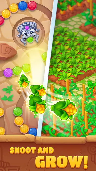 Marble Zumba: blast ball shoot应用截图