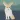 Regicide Companion