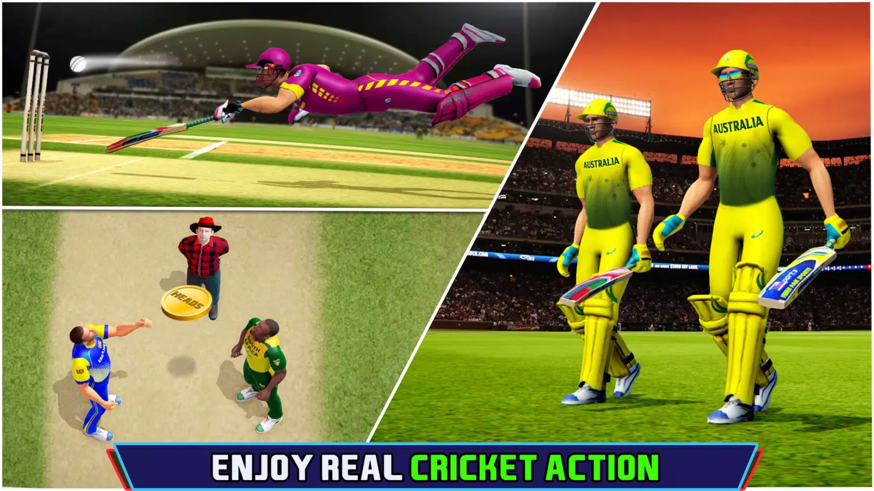 Cricket Championship Game 2024应用截图