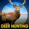 Deer Hunting Wild Animal Shoot