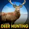 Deer Hunting Wild Animal Shoot