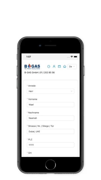 Capturas de tela do Bgas Installateur