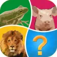 Word Pic Quiz Animals - guess favorites from the ocean, jungle, farm and pets Word Pic Quiz Animals - guess favorites from the ocean, jungle, farm and pets