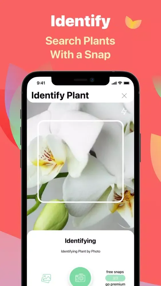 Capturas de pantalla de Lill - plant identifier & care