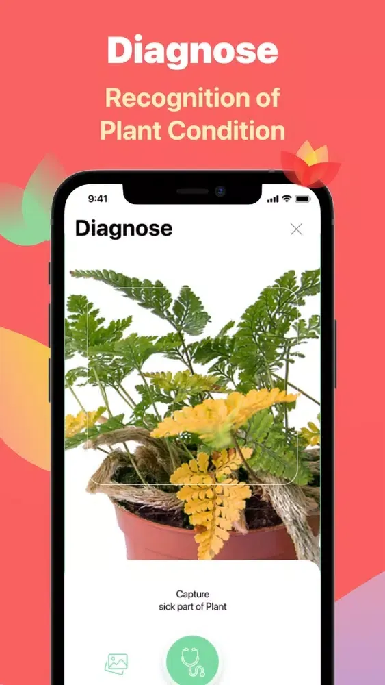 Capturas de pantalla de Lill - plant identifier & care