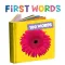 My First Words & Sounds