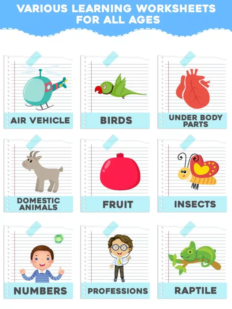 Educational Match The Objects iPad  Screenshots