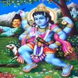Bhairav Aarti-牛将花金 Bhairav Aarti-牛将花金