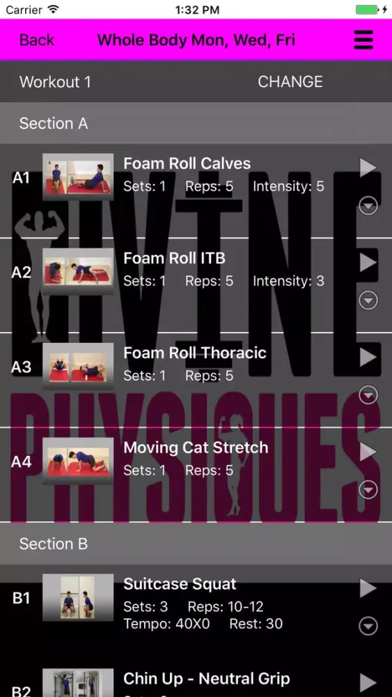 Capturas de tela do Divine Physiques Online