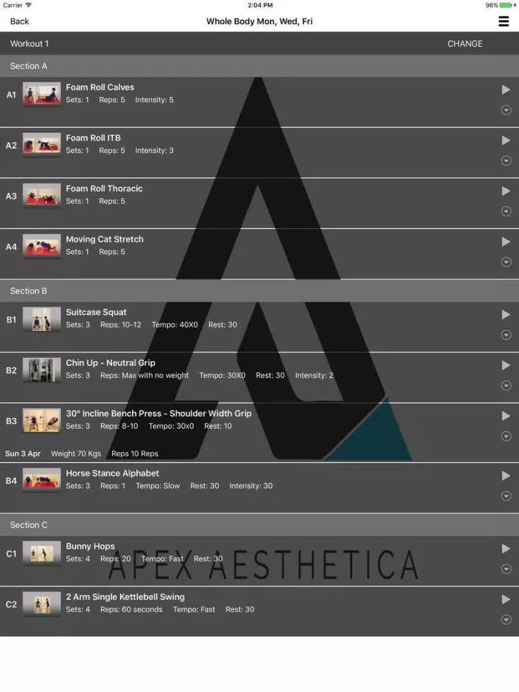 Apex Aesthetica iPad 应用截图