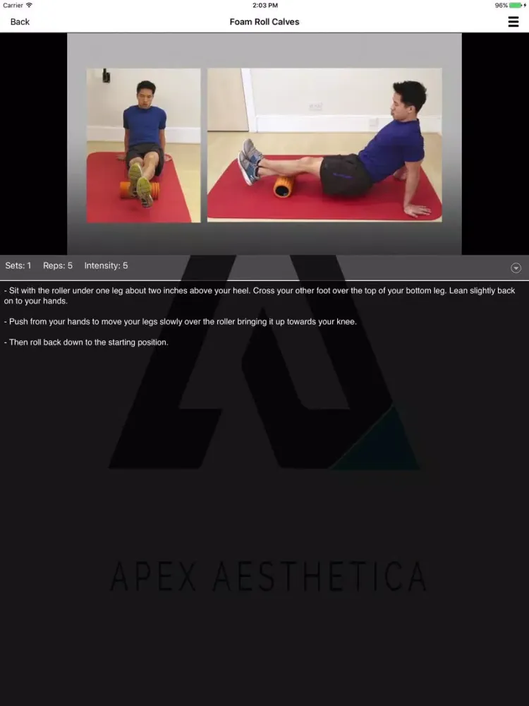 Apex Aesthetica iPad 应用截图
