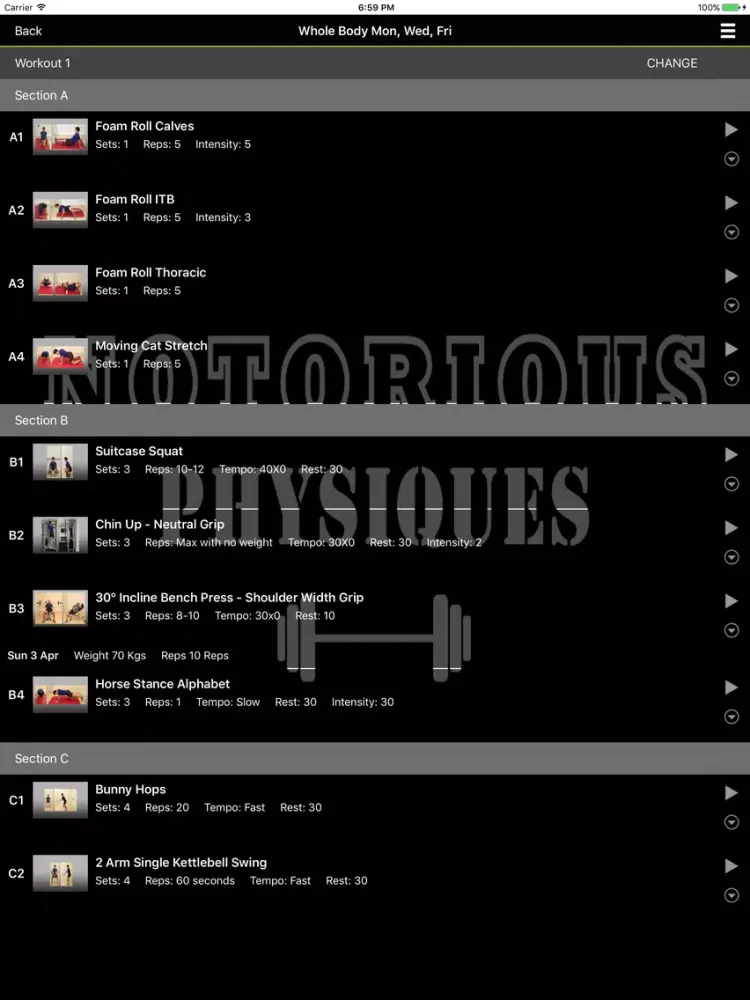 Capturas de tela do Notorious Physiques iPad 