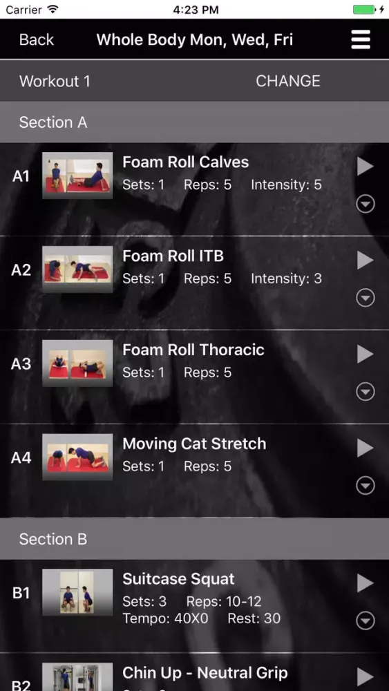 تصاویر True Strength Online Training