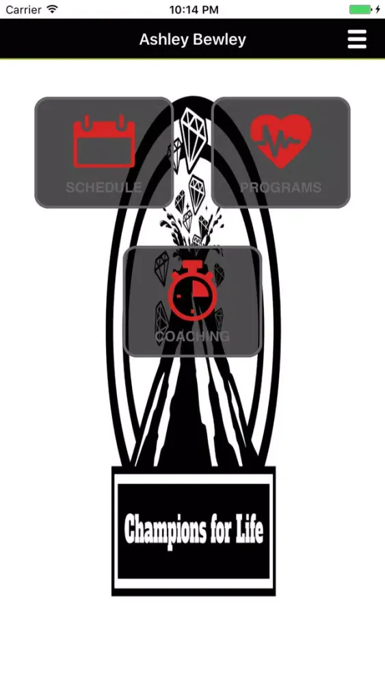 Champions Of Life स्क्रीनशॉट