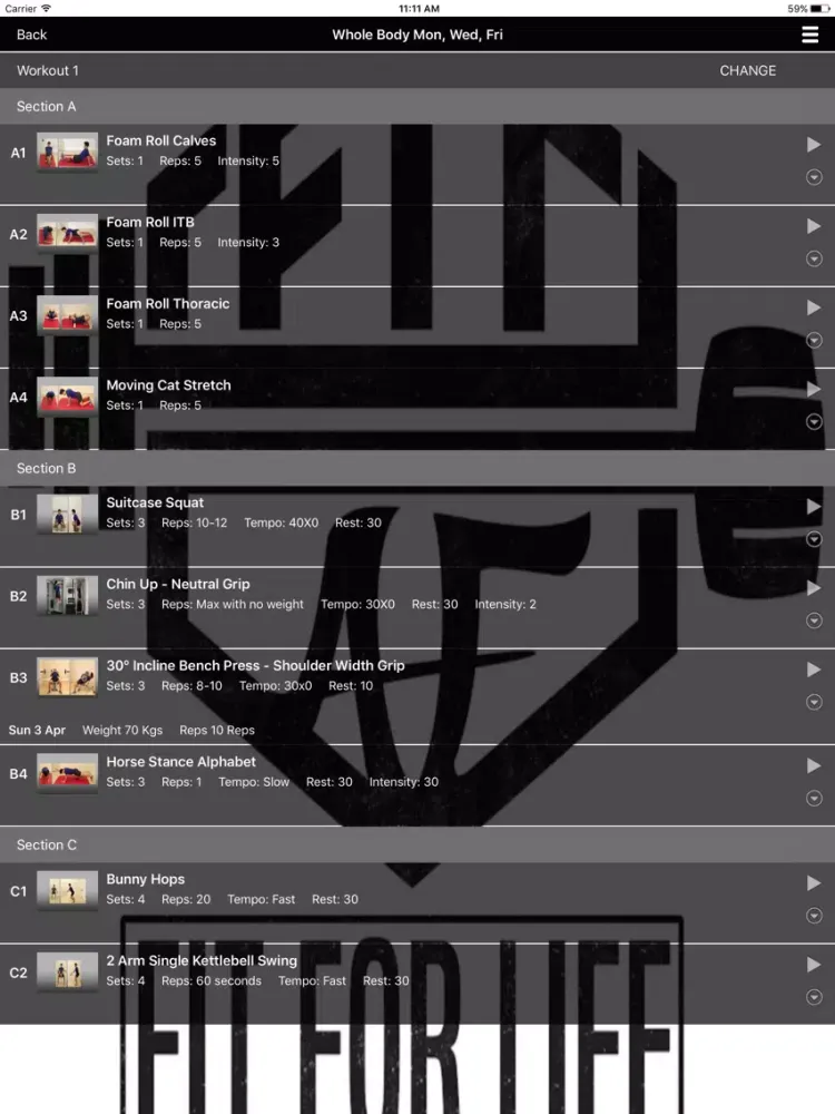 Capturas de tela do Fit-AF iPad 