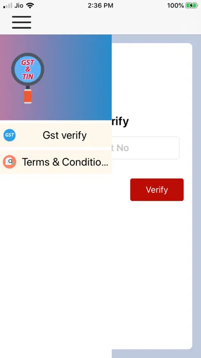 Скриншоты Gst Verify